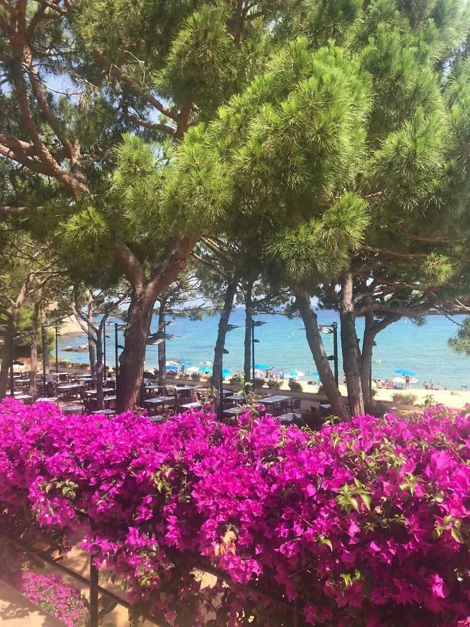 Apartments Centro Lloret Para 6 Lloret de Mar